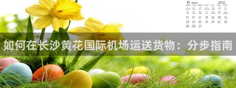 尊龙d88平台登录：如何在长沙黄花国际机场运送货物：分步