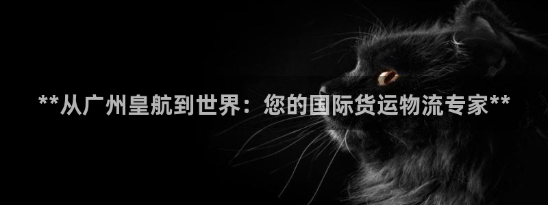 尊龙人生就是博登录：**从广州皇航到世界：您的国际货运物