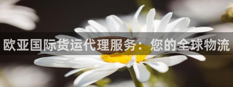 尊龙官网APP下载：欧亚国际货运代理服务：您的全球物流