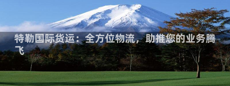 尊龙app最新版本官网：特勒国际货运：全方位物流，助推您