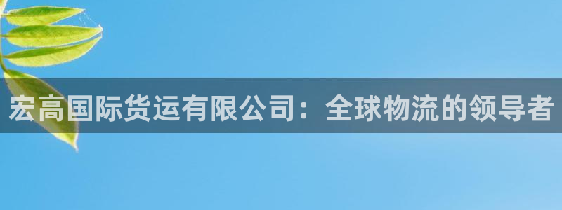 尊龙z6网址：宏高国际货运有限公司：全球物流的领导者