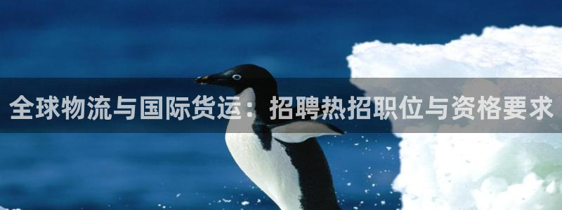 尊龙d88ag旗舰厅：全球物流与国际货运：招聘热招职位与