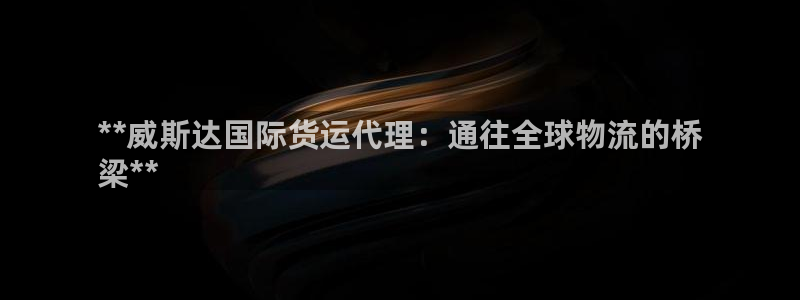 尊龙人生就是博用现金玩一下：**威斯达国际货运代理：通往