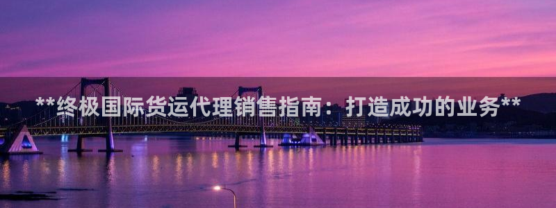 尊龙官网/首选kpm：**终极国际货运代理销售指南：打造