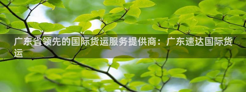 尊龙凯时能提现吗：广东省领先的国际货运服务提供商：广东速