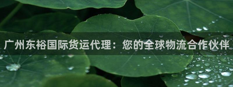 尊龙凯时人生就是博·(中国)官网最新：广州东裕国际货运代