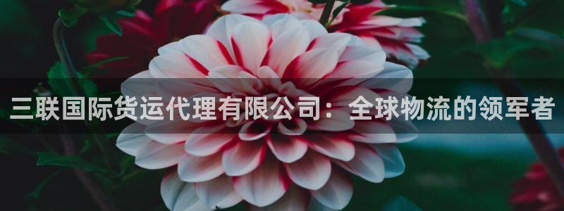尊龙凯时可以提现吗：三联国际货运代理有限公司：全球物流的