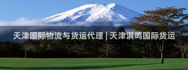 尊龙人生就是博ag旗舰厅：天津国际物流与货运代理 | 天