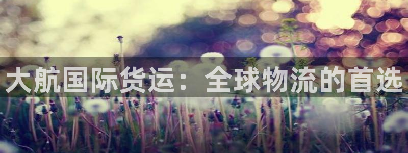 尊龙电子：大航国际货运：全球物流的首选