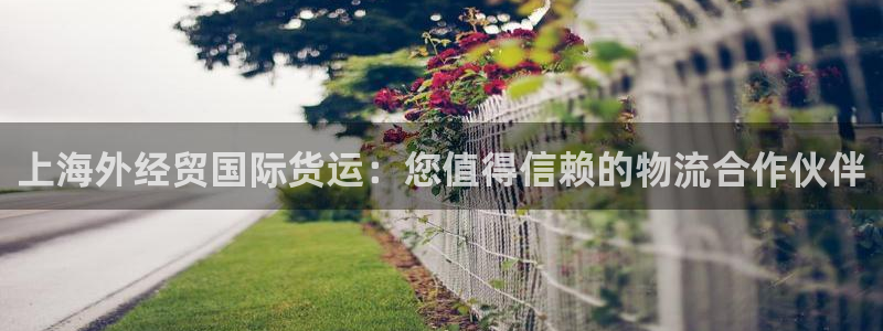 尊龙凯时手机版·(中国)官方网站：上海外经贸国际货运：您