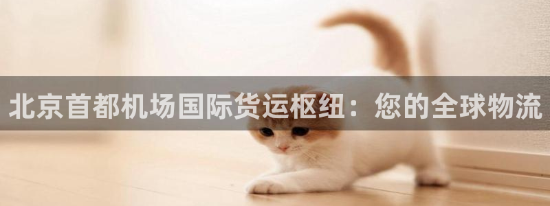 尊龙d88手机登录免费下载：北京首都机场国际货运枢纽：您