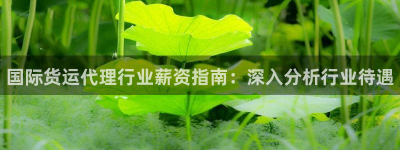 d88尊龙手机客户端下载：国际货运代理行业薪资指南：深入