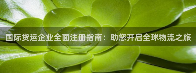 尊龙凯时网站怎么样：国际货运企业全面注册指南：助您开启全