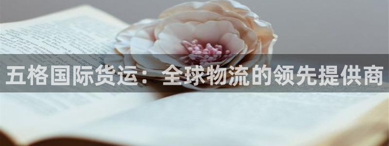 尊龙人生就是博一下阿扎尔：五格国际货运：全球物流的领先提