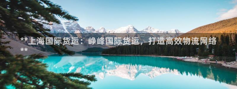 尊龙官网在哪里：**上海国际货运：峥峰国际货运，打造高效