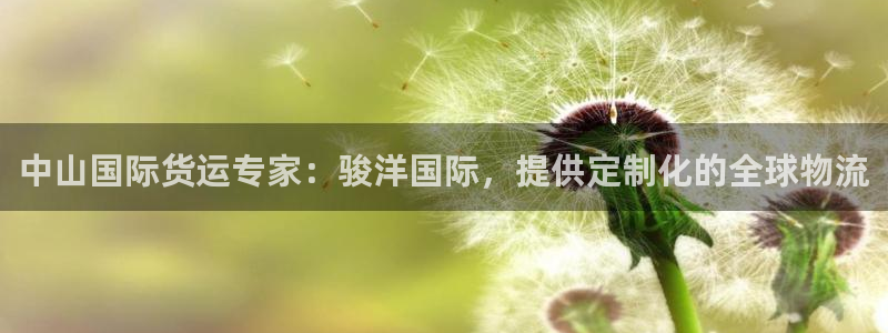 尊龙凯时-人生就是博中国官网：中山国际货运专家：骏洋国际
