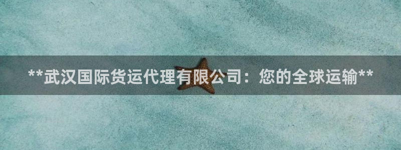 尊龙凯时发展历程：**武汉国际货运代理有限公司：您的全球