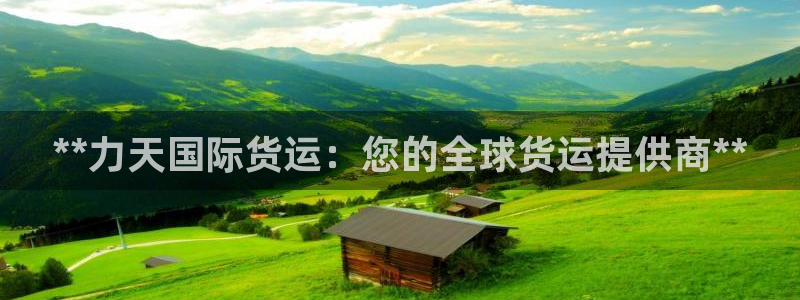 尊龙ag旗舰：**力天国际货运：您的全球货运提供商**
