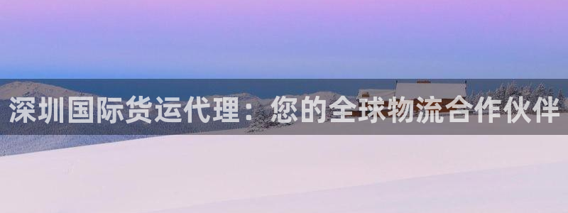 尊龙贴吧：深圳国际货运代理：您的全球物流合作伙伴