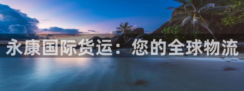 尊龙凯时客服：永康国际货运：您的全球物流