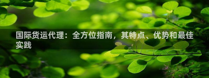 尊龙人生就是博官：国际货运代理：全方位指南，其特点、优势