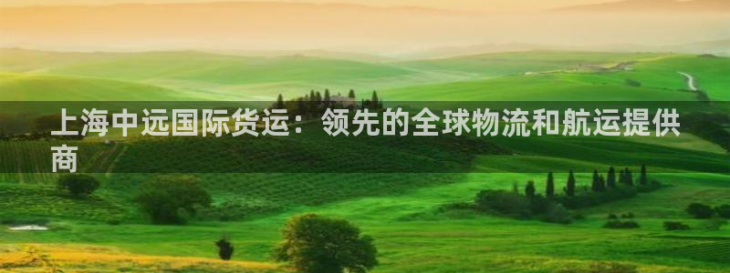 尊龙凯时旗舰厅官网：上海中远国际货运：领先的全球物流和航