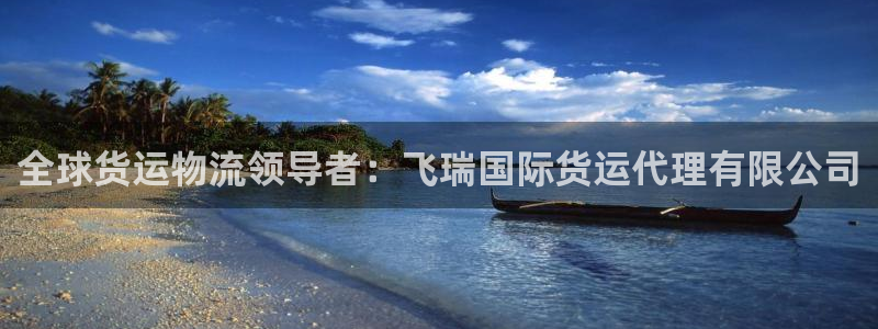 尊龙凯时代理官网入口：全球货运物流领导者：飞瑞国际货运代
