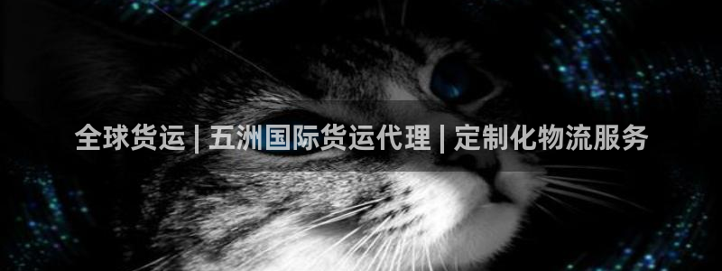 尊龙凯时平台信誉怎样：全球货运 | 五洲国际货运代理 |