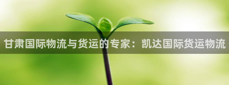 尊龙d88官网so问来就送38：甘肃国际物流与货运的专家