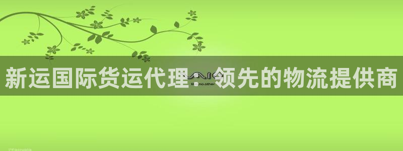 尊龙ag旗舰厅官网登录：新运国际货运代理：领先的物流提供