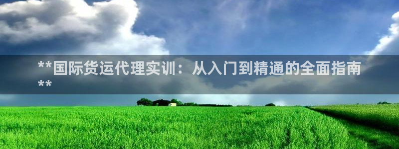 尊龙官方网站首页：**国际货运代理实训：从入门到精通的全
