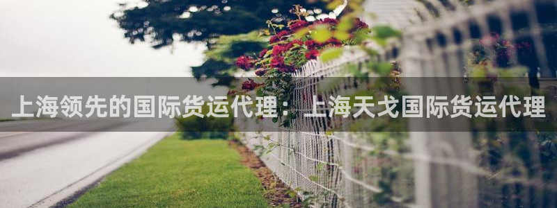 尊龙凯时口碑好吗：上海领先的国际货运代理：上海天戈国际货