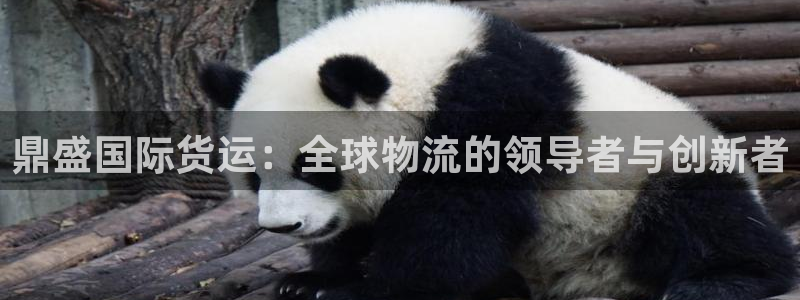 尊龙凯时logo