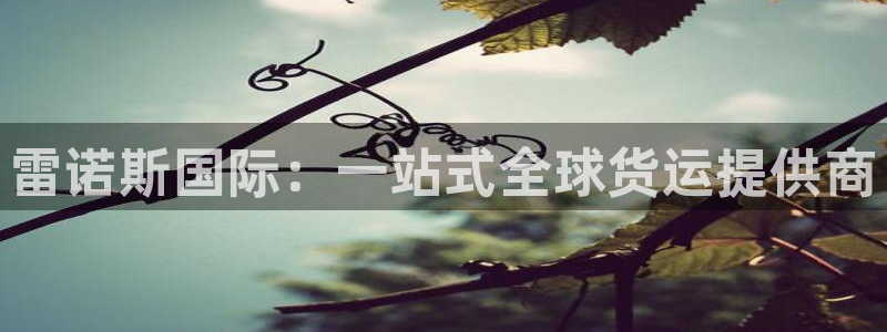 Z6尊龙凯时官方
