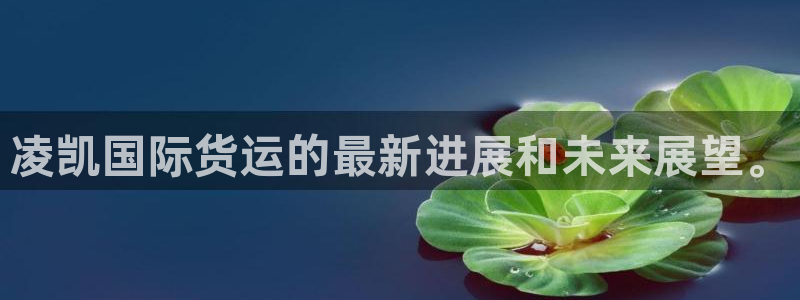 尊龙凯时代理佣金发不发