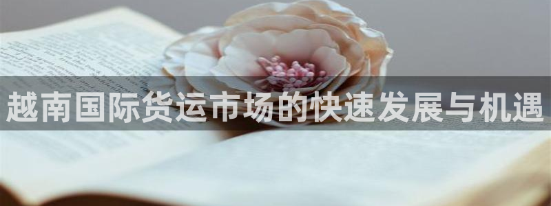 尊龙凯时网页版