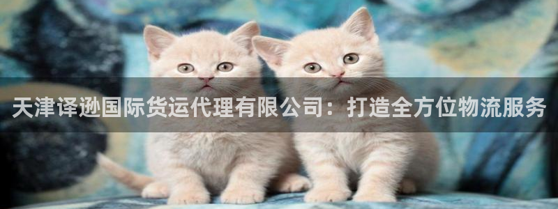 尊龙凯时 - 人生就是搏有假吗