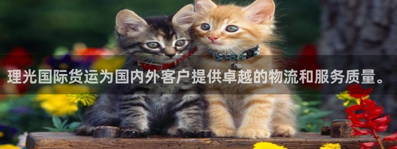 尊龙凯时-人生就是博中国官网