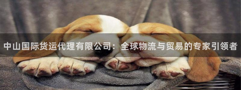 尊龙凯时网页版