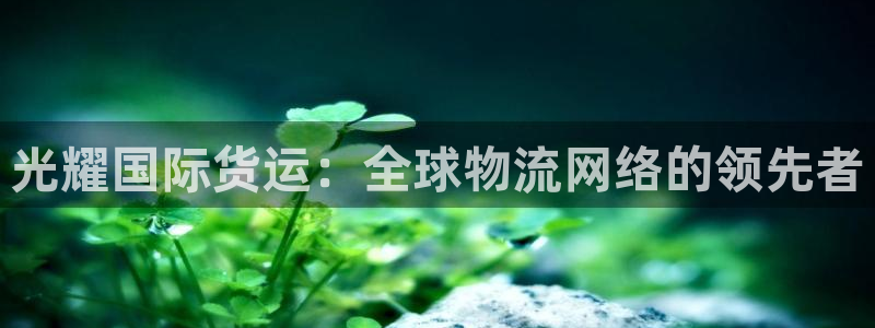 尊龙实业有限公司是正规还是仿