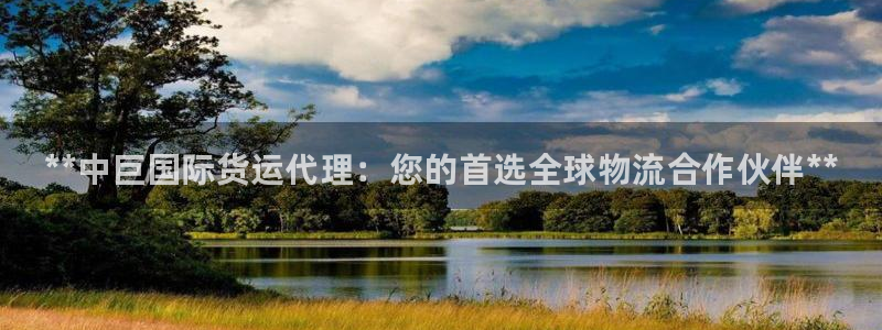 尊龙 5：**中巨国际货运代理：您的首选全球物流合作伙伴