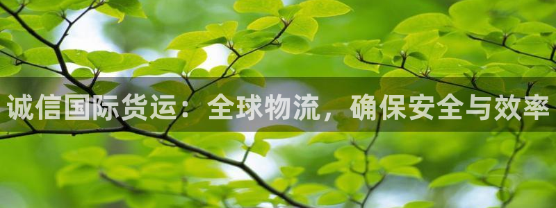 尊龙人生就是博网站下载