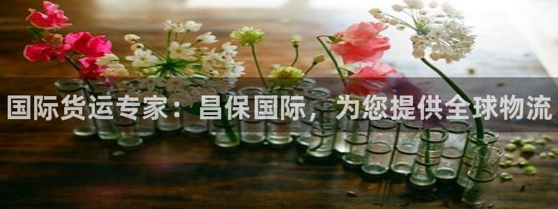 尊龙凯时开发