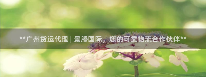 尊龙凯时平台还是万搏好：**广州货运代理 | 景腾国际，