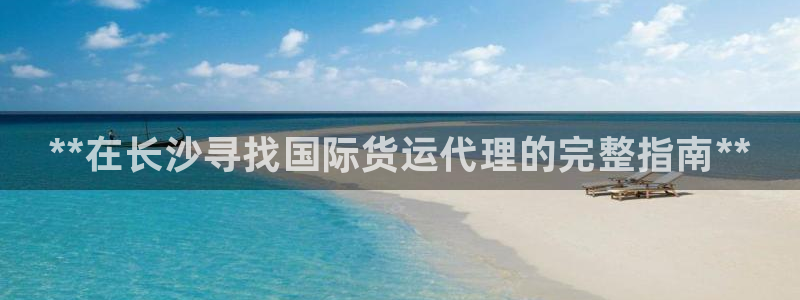 尊龙人生就是博AG：**在长沙寻找国际货运代理的完整指南