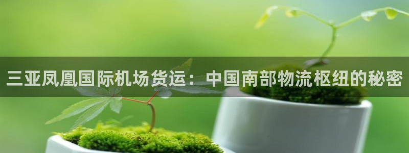 尊龙平台登录：三亚凤凰国际机场货运：中国南部物流枢纽的秘