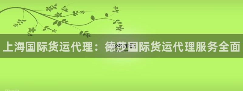 尊龙人生就是博官：上海国际货运代理：德莎国际货运代理服务