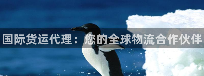 尊龙凯时能做退米么：国际货运代理：您的全球物流合作伙伴