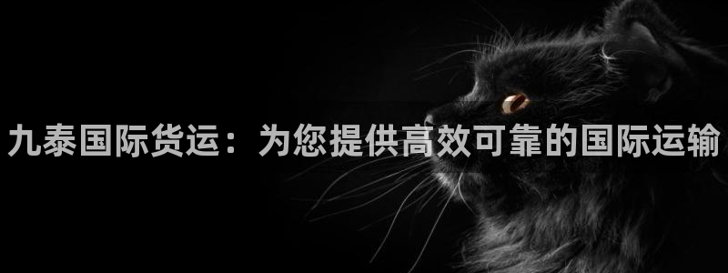 尊龙凯时能不能提现?：九泰国际货运：为您提供高效可靠的国