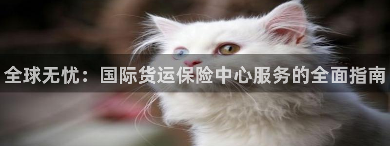 尊龙凯时电竞注册